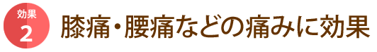 日のまあるジャージを背負いつつ、地域市町村でスポーツをする皆様のパフォーマンスに貢献していきます